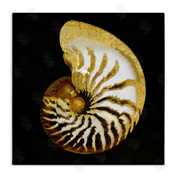 stupell industries Caroline Kelly | Spiral Patterned Shell Wall Art