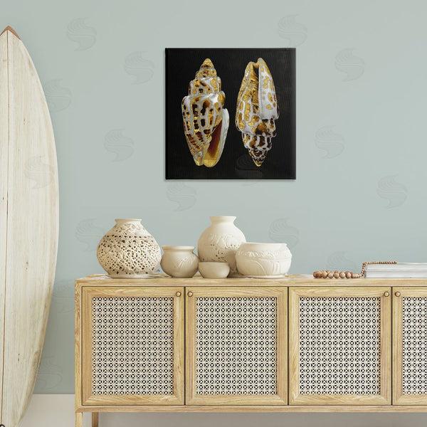 Stupell Industries Caroline Kelly | Spotted Cowrie Shells Wall Art