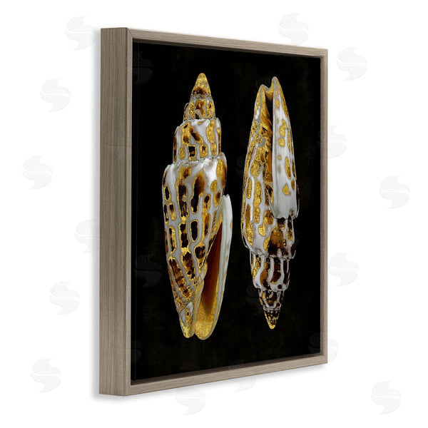 Stupell Industries Caroline Kelly | Spotted Cowrie Shells Wall Art