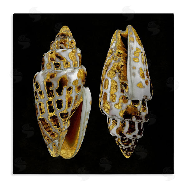 stupell industries Caroline Kelly | Spotted Cowrie Shells Wall Art