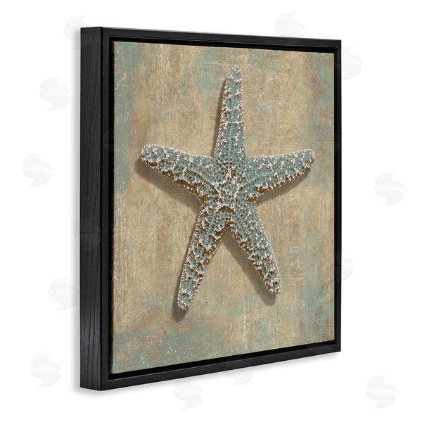 Stupell Industries Caroline Kelly | Starfish Beach Objects Design Wall Art