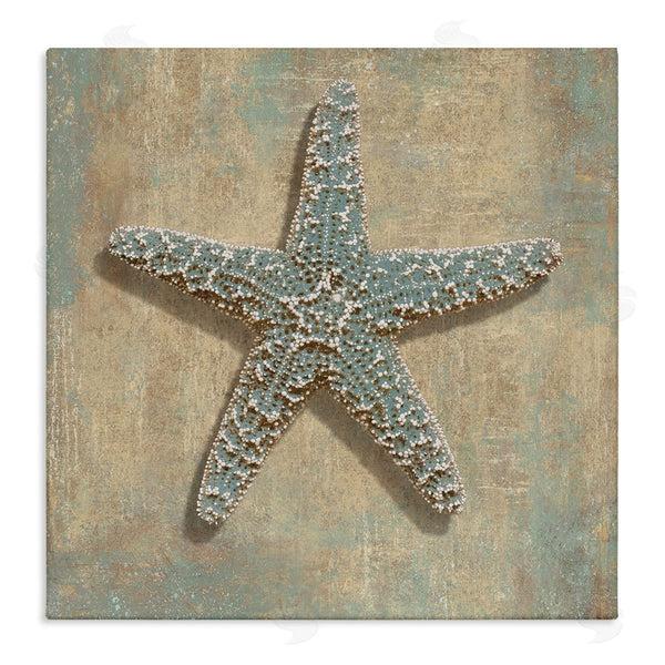stupell industries Caroline Kelly | Starfish Beach Objects Design Wall Art