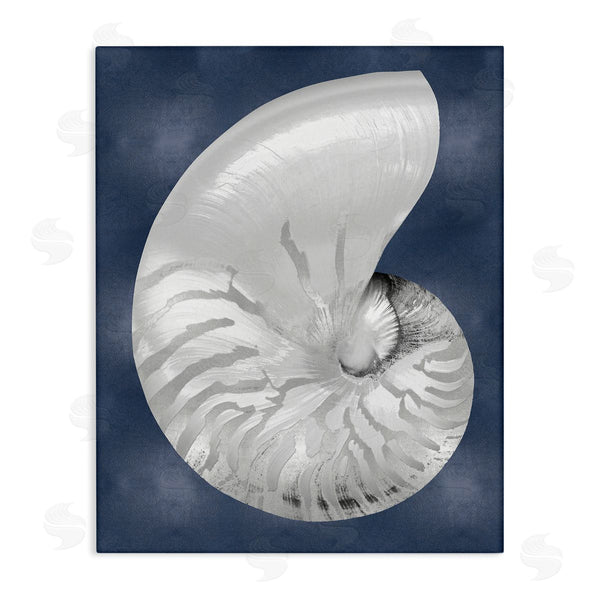 stupell industries Caroline Kelly | Striped Nautilus on Blue