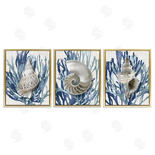 Stupell Industries Caroline Kelly | Trio Of Shells & Coral