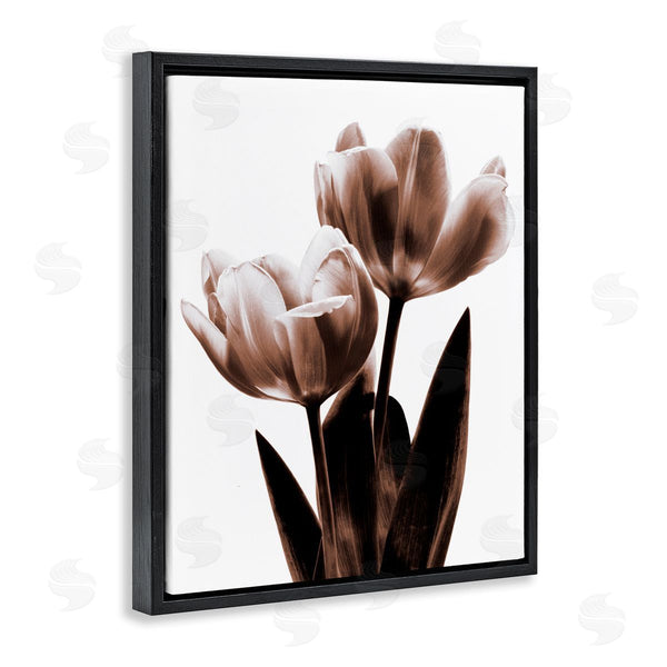 Stupell Industries Caroline Kelly | Two Tulips Photography Wall Art