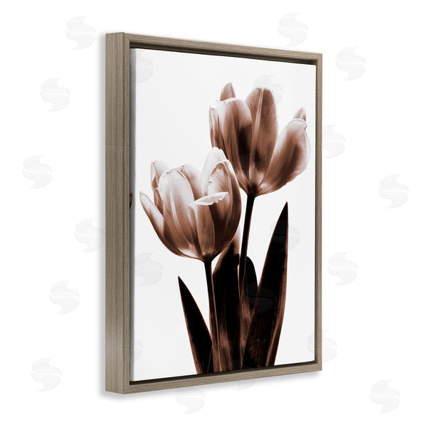 Stupell Industries Caroline Kelly | Two Tulips Photography Wall Art