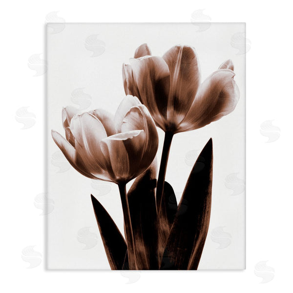 stupell industries Caroline Kelly | Two Tulips Photography Wall Art