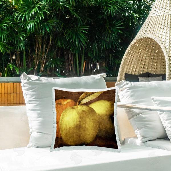 Stupell Industries Caroline Kelly | Vintage Apples Close Up Printed Throw Pillow