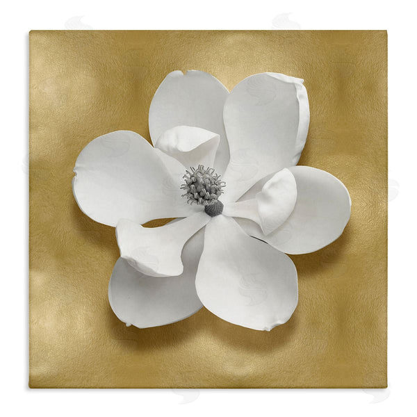 stupell industries Caroline Kelly | White Apple Blossom