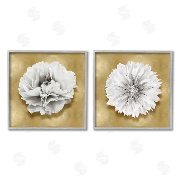 Stupell Industries Caroline Kelly | White On Glam Flowers