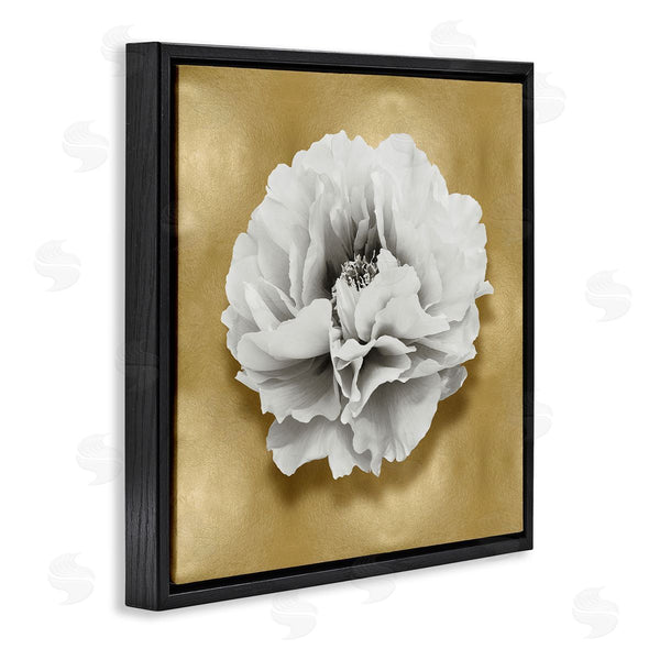 Stupell Industries Caroline Kelly | White Peony On Gold