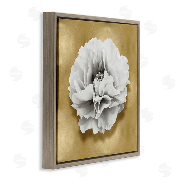Stupell Industries Caroline Kelly | White Peony On Gold