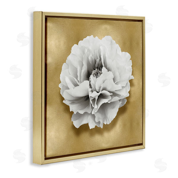Stupell Industries Caroline Kelly | White Peony On Gold
