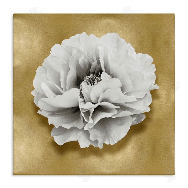 stupell industries Caroline Kelly | White Peony on Gold