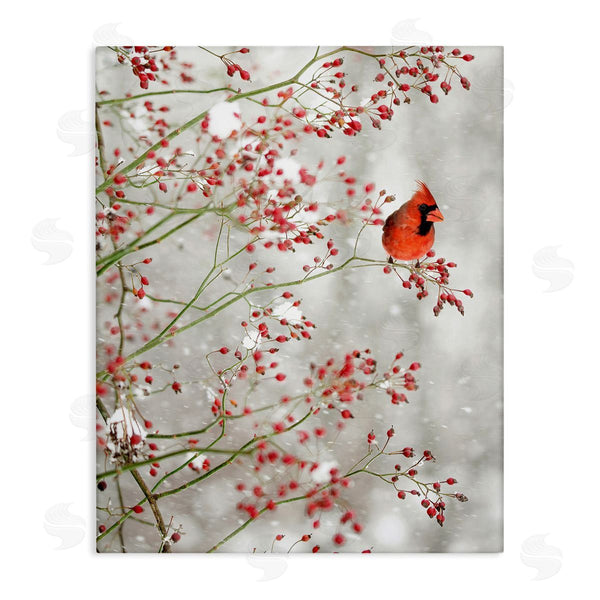 stupell industries Carrie Ann Grippo-Pike | Cardinal Seasonal Holly Berries Wall Art