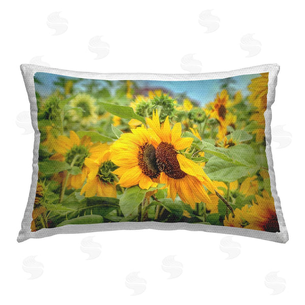 Stupell Industries Carrie Ann Grippo-Pike | Country Sunflower Garden