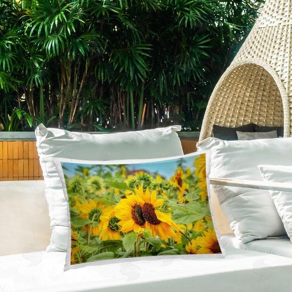 Stupell Industries Carrie Ann Grippo-Pike | Country Sunflower Garden