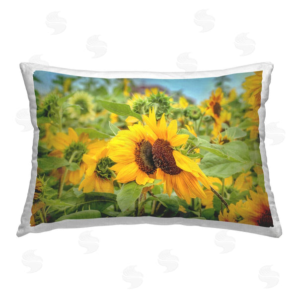 stupell industries Carrie Ann Grippo-Pike | Country Sunflower Garden