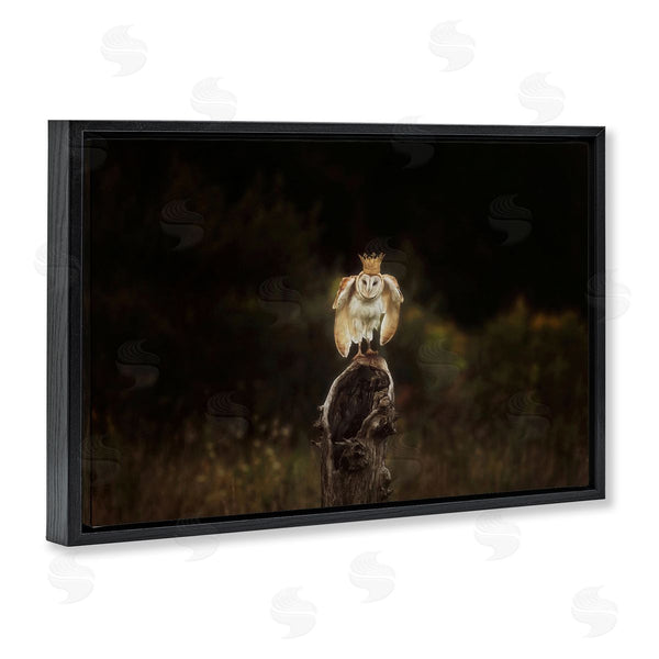 Stupell Industries Carrie Ann Grippo-Pike | Crowned Owl Perched