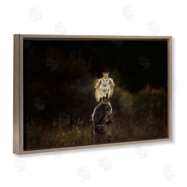 Stupell Industries Carrie Ann Grippo-Pike | Crowned Owl Perched