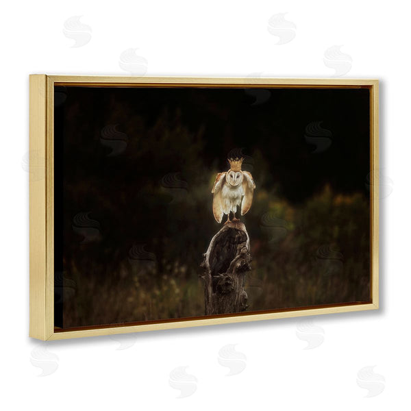 Stupell Industries Carrie Ann Grippo-Pike | Crowned Owl Perched