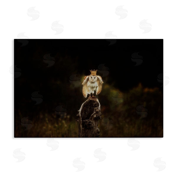 stupell industries Carrie Ann Grippo-Pike | Crowned Owl Perched