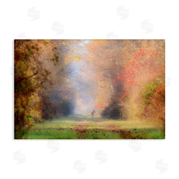 stupell industries Carrie Ann Grippo-Pike | Foggy Autumnal Forest Wall Art