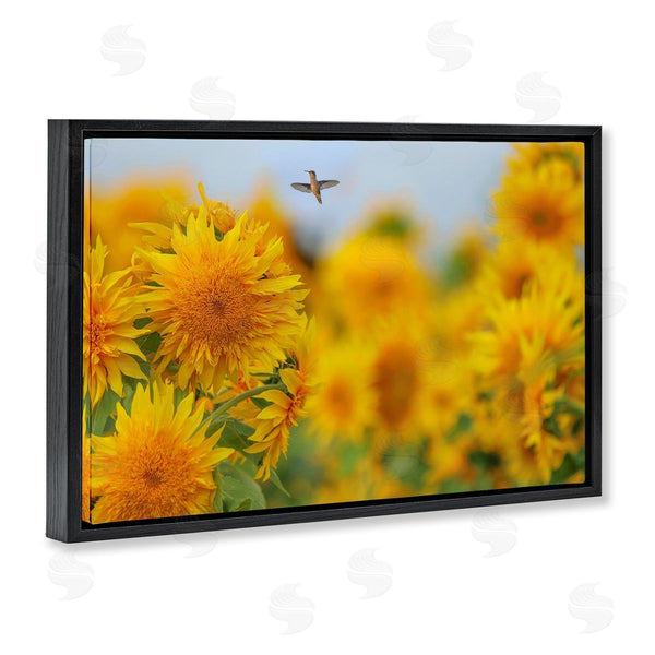 Stupell Industries Carrie Ann Grippo-Pike | Happy Hummingbird & Sunflowers