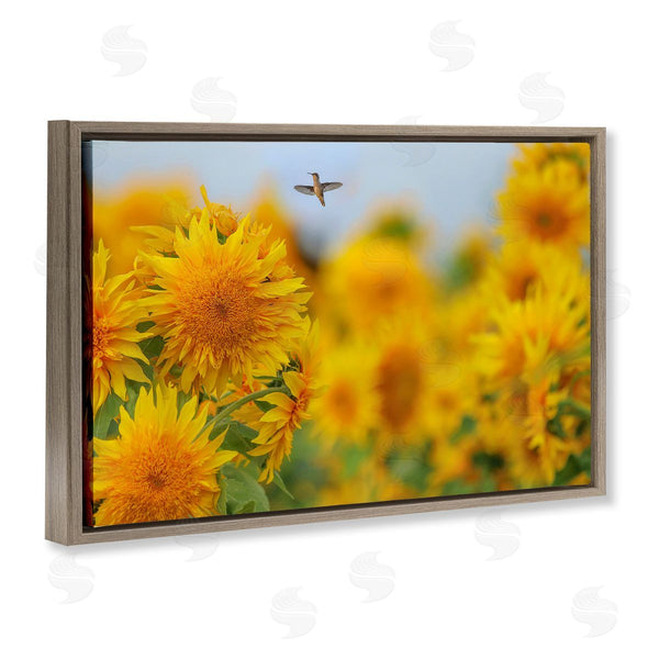 Stupell Industries Carrie Ann Grippo-Pike | Happy Hummingbird & Sunflowers