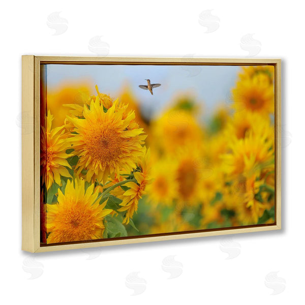 Stupell Industries Carrie Ann Grippo-Pike | Happy Hummingbird & Sunflowers