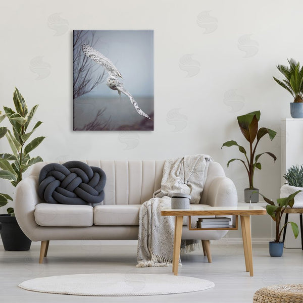 Stupell Industries Carrie Ann Grippo-Pike | Majestic Snowy Owl Flying Wingspan Wildlife Photography Wall Art