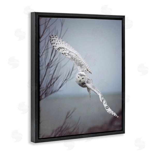 Stupell Industries Carrie Ann Grippo-Pike | Majestic Snowy Owl Flying Wingspan Wildlife Photography Wall Art