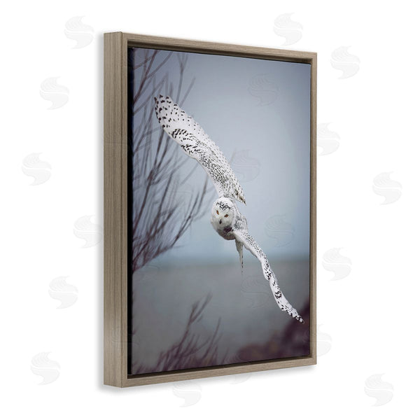 Stupell Industries Carrie Ann Grippo-Pike | Majestic Snowy Owl Flying Wingspan Wildlife Photography Wall Art