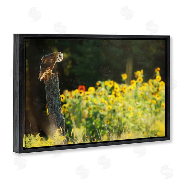 Stupell Industries Carrie Ann Grippo-Pike | Owl Perched In Meadow
