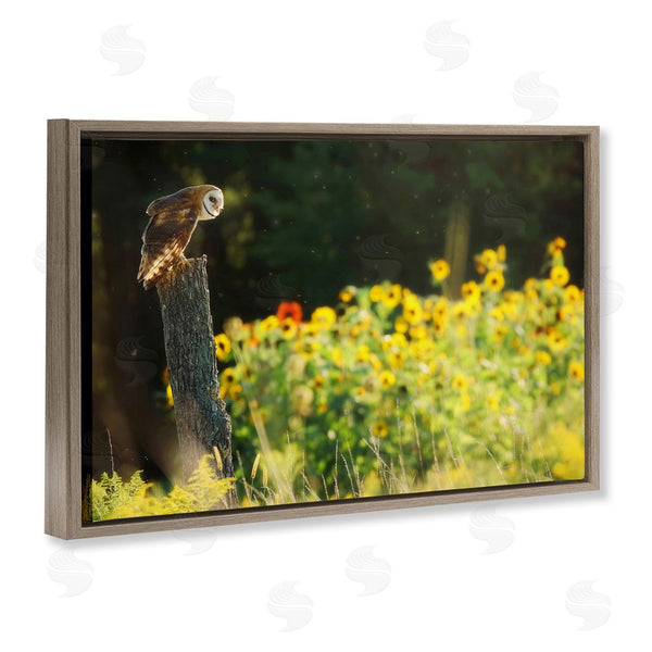 Stupell Industries Carrie Ann Grippo-Pike | Owl Perched In Meadow