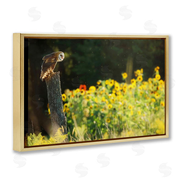 Stupell Industries Carrie Ann Grippo-Pike | Owl Perched In Meadow