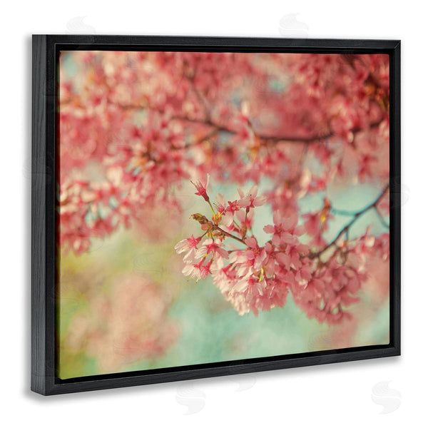 Stupell Industries Carrie Ann Grippo-Pike | Pink Cherry Blossoms