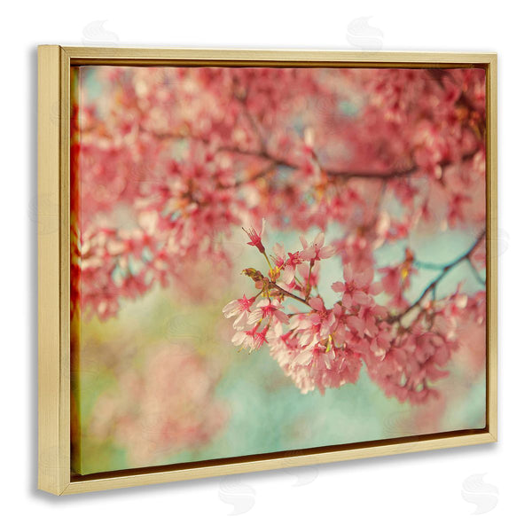 Stupell Industries Carrie Ann Grippo-Pike | Pink Cherry Blossoms