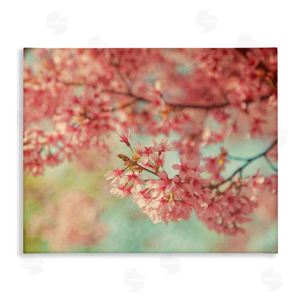 stupell industries Carrie Ann Grippo-Pike | Pink Cherry Blossoms