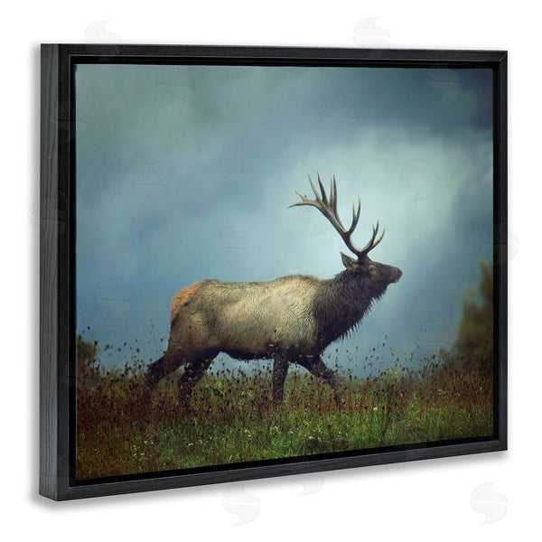 Stupell Industries Carrie Ann Grippo-Pike | Serene Elk In Nighttime Clearing Wildlife Photography Wall Art