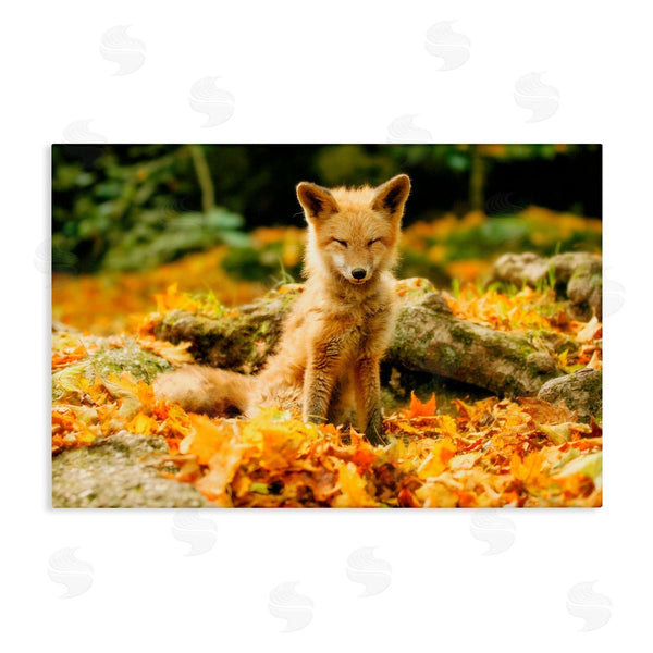 stupell industries Carrie Ann Grippo-Pike | Sleepy Fall Fox in Autumn