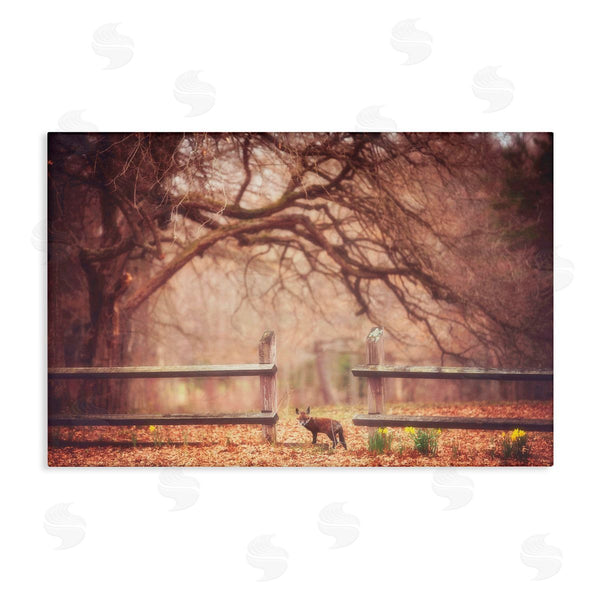 stupell industries Carrie Ann Grippo-Pike | Sly Guy Fox in Forest