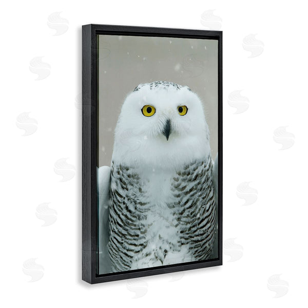 Stupell Industries Carrie Ann Grippo-Pike | Snowy Owl Portrait