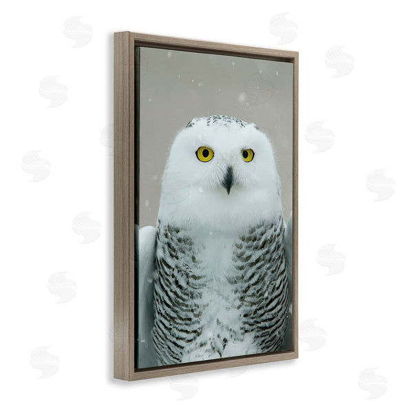 Stupell Industries Carrie Ann Grippo-Pike | Snowy Owl Portrait