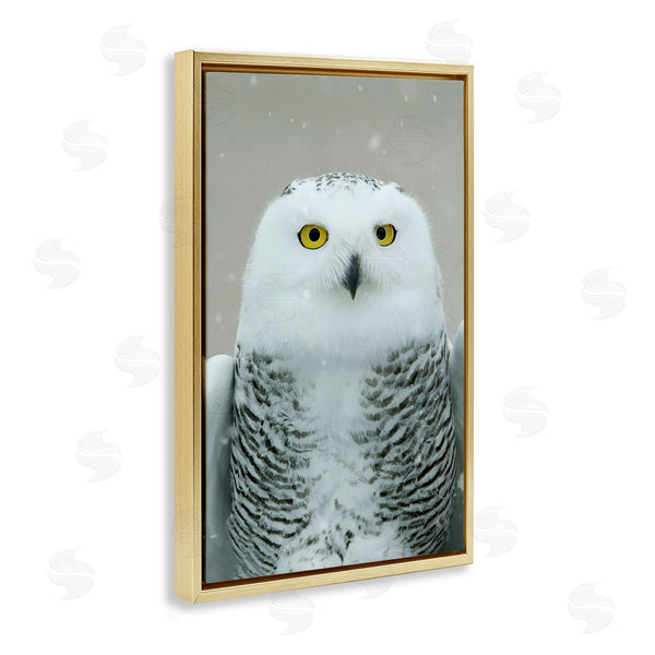Stupell Industries Carrie Ann Grippo-Pike | Snowy Owl Portrait