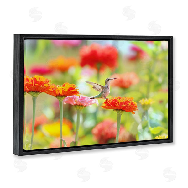 Stupell Industries Carrie Ann Grippo-Pike | Sugar Fairy Hummingbird