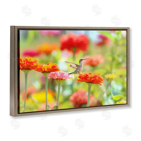 Stupell Industries Carrie Ann Grippo-Pike | Sugar Fairy Hummingbird