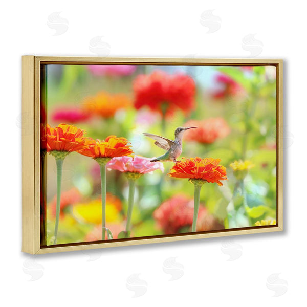 Stupell Industries Carrie Ann Grippo-Pike | Sugar Fairy Hummingbird