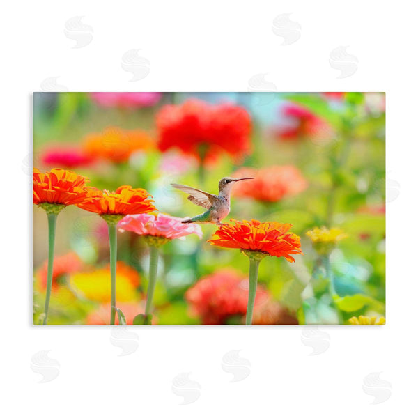 stupell industries Carrie Ann Grippo-Pike | Sugar Fairy Hummingbird