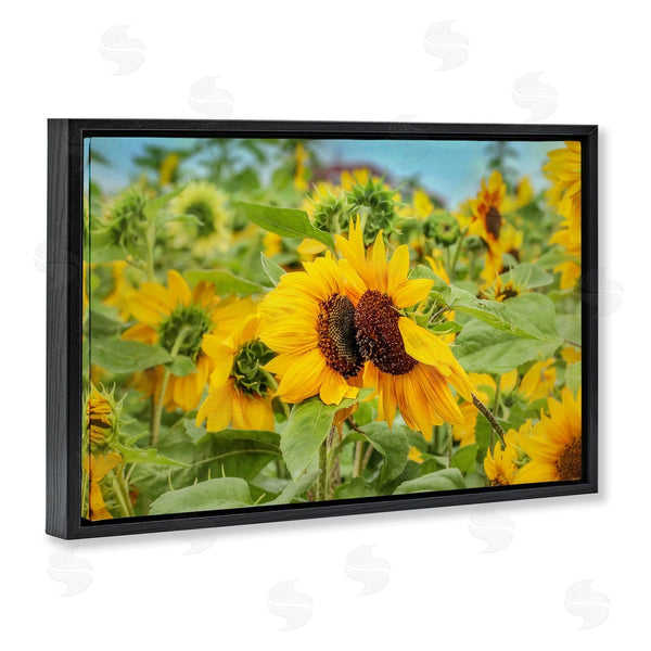 Stupell Industries Carrie Ann Grippo-Pike | Sunflower Field Photography